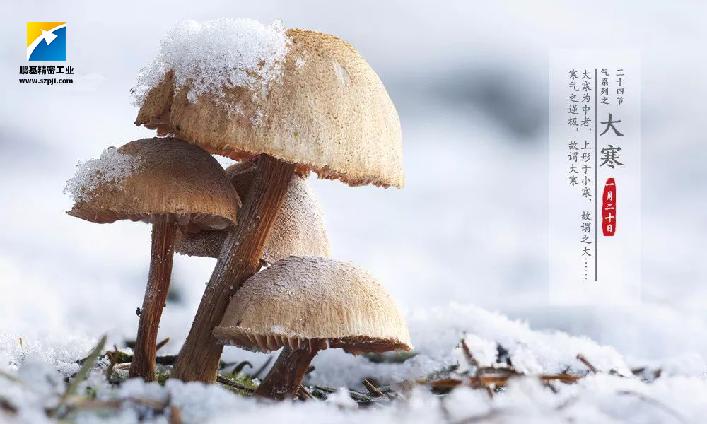 大寒，唯美冰雪迎新春！